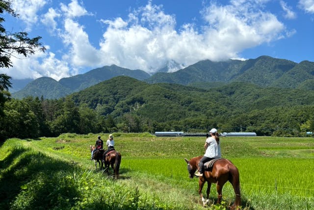 【山梨・ホーストレッキング・外乗】ＧＷ後の期間限定割引プラン！新緑の中を馬に乗って散歩♪60分ホーストレッキング