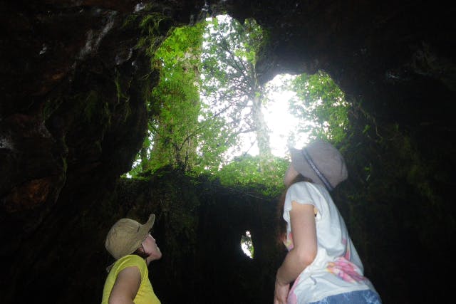 【鹿児島・屋久島】巨大切り株ウィルソン株！ハートを求めてトロッコ道をぶらぶらと♪トレッキング初心者OK！