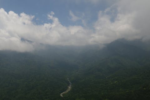 【鹿児島・屋久島】白谷雲水峡の絶景！太鼓岩を目指す一日トレッキングコース初心者OK！