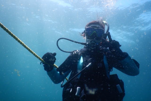 【大阪発・和歌山】ライセンス必須・ボート２DIVE★迷子ダイバーwelcome！和歌山の海でリフレッシュダイブ（お一人様参加）