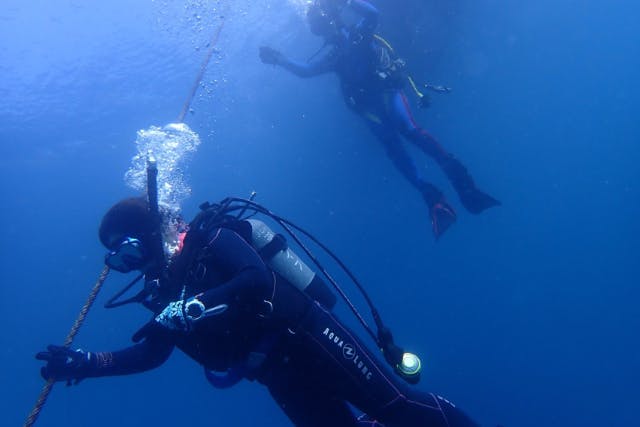 【大阪発・和歌山】ライセンス必須・ボート２DIVE★迷子ダイバーwelcome！和歌山の海でリフレッシュダイブ（2人で参加）