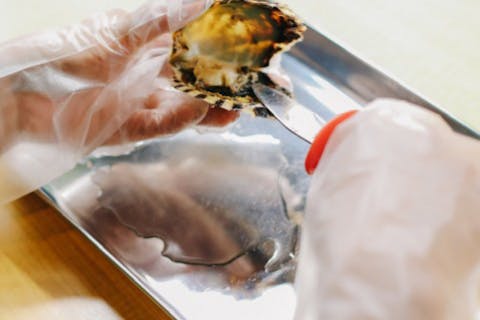 【平日限定】アコヤ貝から真珠を取り出してアクセサリーを作ろう★金具代1,100円分付き（通常より100円お得）