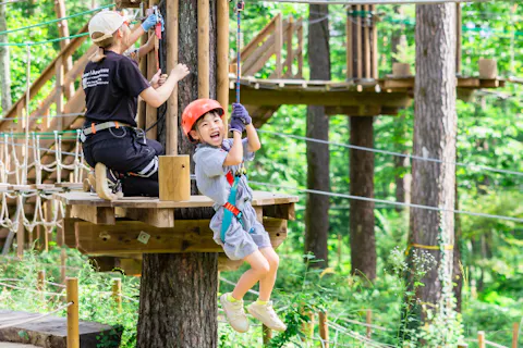 【山梨・富士山麓/河口湖・アスレチック】身長90cmから挑戦できるキッズコース（約45分）初めての冒険にチャレンジしよう！