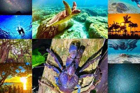 【宮古島・昼夜満喫】海亀シュノーケル&星空ジャングルナイトツアーのSETプラン♪12歳未満は子供料金‼︎