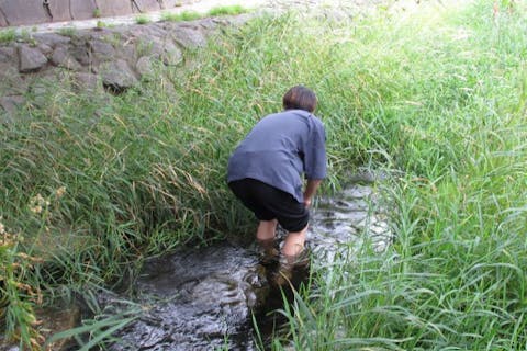 【札幌市内北部・自然体験】水辺の生き物大好き！！都市部を流れる安春川でのガサガサ体験