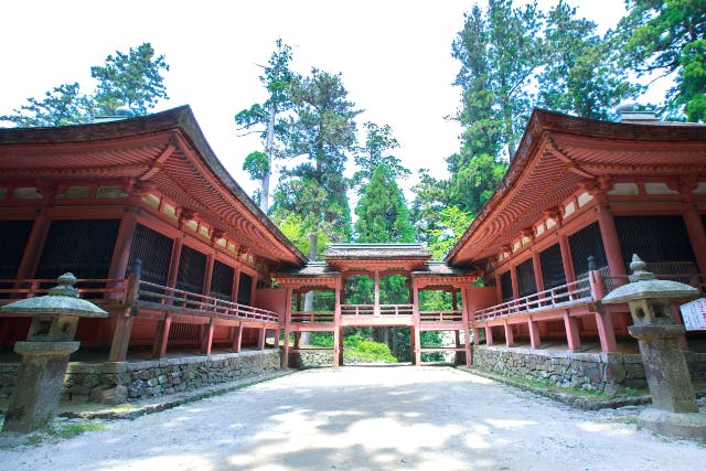 【滋賀・大津・ガイドツアー】世界遺産「比叡山延暦寺」東塔・西塔ガイドツアー～修行の山に受け継がれる祈りの道をたどる～