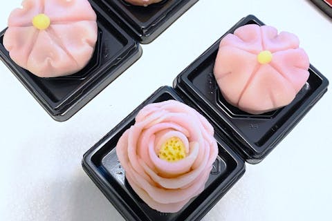 渋谷で練り切り和菓子を作る体験！お持ち帰りOK、アクセス◎