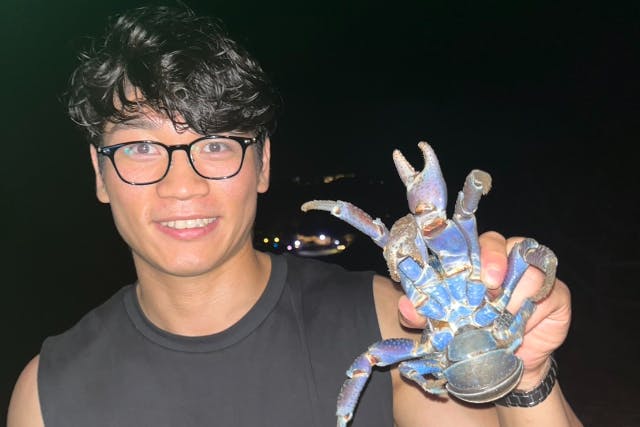 【貸切で宮古島の夜を冒険！世界最大の蟹「ヤシガニ」を探すジャングルナイトツアー】