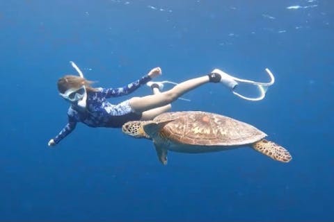 ウミガメと泳ぐ 感動のシュノーケルツアー