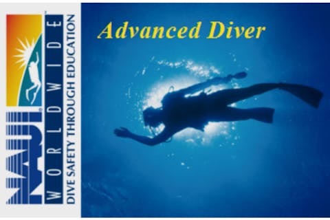 【伊豆・湘南・アドバンスライセンス取得】2日で取得！1日ずつ日帰りもOK！アドバンスダイバーライセンス講習く茅ヶ崎駅集合＞