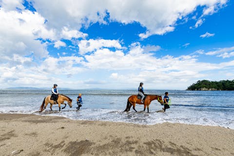 【宮城・奥松島】2～3名さま 海辺での乗馬体験“オーシャンライディング” ＊初めての方におすすめ＊
