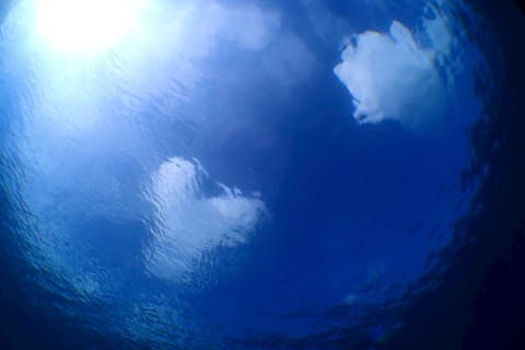 【静岡・八幡野】初心者大歓迎！伊豆高原駅から車で５分！シュノーケリング