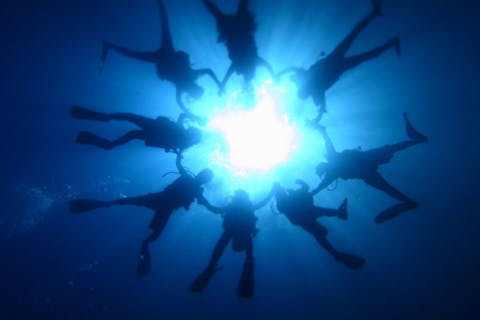 【八幡野・ライセンス取得】伊豆高原駅から車で５分！BSACオーシャンダイバーへ！