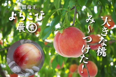 滋賀竜王で桃狩り♪4玉収穫プラン<冷やし桃の販売あり☆>