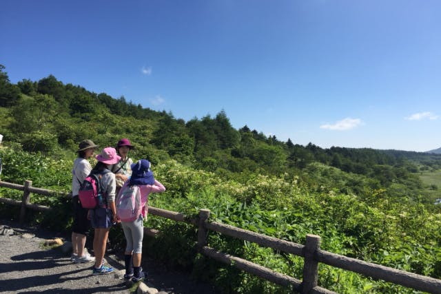 【霧ヶ峰・プライベートガイド】八島湿原・車山・踊場湿原など ご希望の時間・内容に合わせてご案内！1時間～