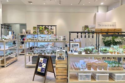 宮城・仙台駅前・苔テラリウム】しずく型ガラス容器で作る苔テラリウム