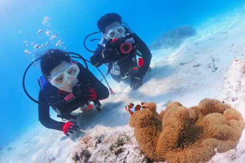 【宮古島・体験ダイビング＆星空フォト】1日1組限定！海も星も一度に楽しむスペシャルプラン（写真データ付き）