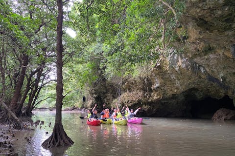 【石垣島/送迎可】人気ツアーを貸切に！宮良川マングローブカヤック♪【干潟散策有】【1歳～75歳】