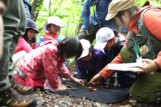 【那須】ガイドウォーク「探求コース（2.5時間）～那須平成の森を、じっくり深掘り～」