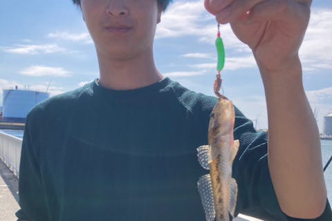 【石狩・厚田】石狩湾の海辺でご気楽釣り体験と海幸探しの1日（送迎プラン）