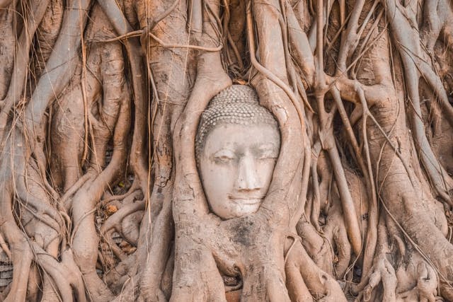 【タイ】世界遺産アユタヤ遺跡観光 + 象乗り体験ツアー＜日本語ガイド/午前半日/ランチなし＞ E2