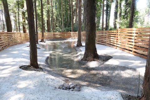 【千葉・山武・ドッグプール】森の中のドッグプール「じゃぶじゃぶ池」