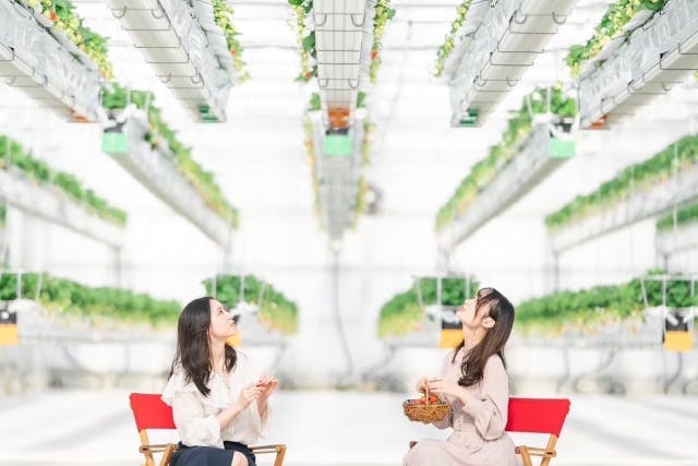 福岡県福津市で空中に浮かぶ新感覚のいちご狩り♪1/10~3/8までの土日祝限定プラン♪いちご狩りピクニックで60分あまおう食べ放題♪≪カップル・ファミリーにオススメ≫