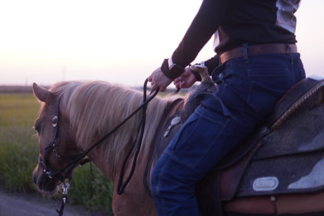 【茨城県境町 乗馬】カップル、ご友人で！馬に乗ってのんびり田園＆河川敷お散歩外乗(〜120分)