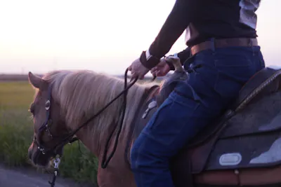 茨城県境町 乗馬】カップル、ご友人で！馬に乗ってのんびり田園
