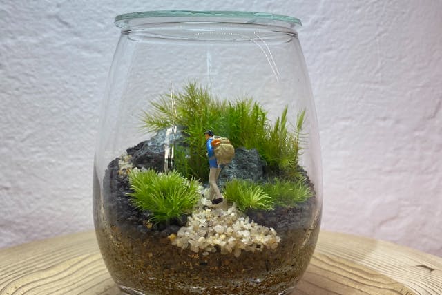 【イオンモール幕張新都心】しずくボトルで作る苔のテラリウム（90分）