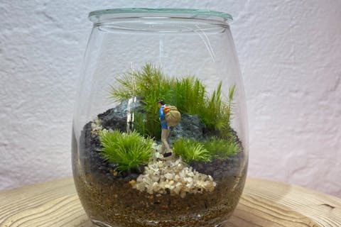 【イオンモール幕張新都心】しずくボトルで作る苔のテラリウム（90分）