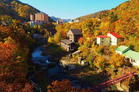 札幌発着 北海道神宮、定山渓温泉、場外市場を巡る札幌市内１日ツアー！＜秋冬コース＞