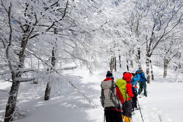 【高島・朽木】原生の森でスノーシューツアー《初心者OK！雪原を歩く冬の冒険！》