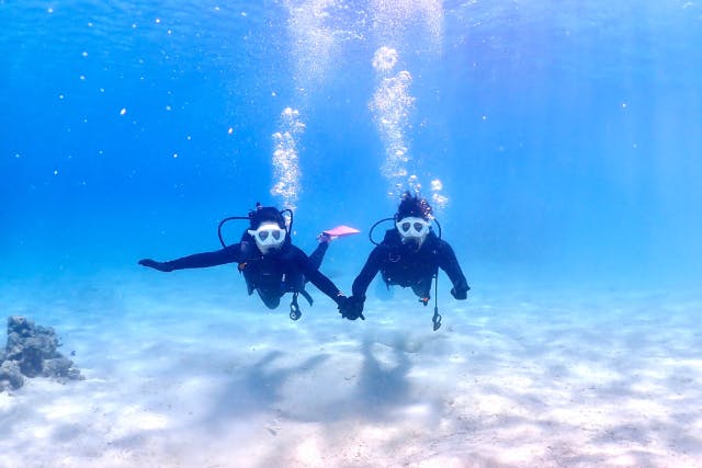 【宮古島・ライセンス取得・写真撮影付】最短2日！ダイバーになろう