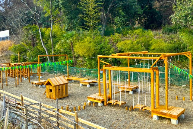 【福岡・添田・アスレチック】ハーネスなしで自然体験ができるアスレチック施設！
