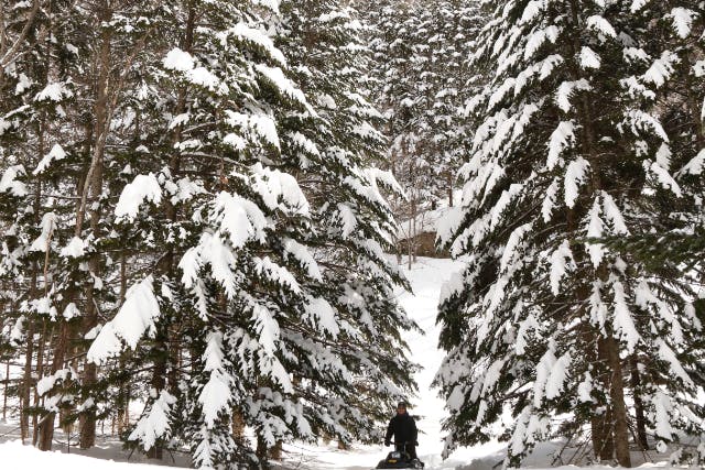 【北海道・札幌】山岳樹海を走る！大満足スノーモービルツアー90分体験《無料送迎可》