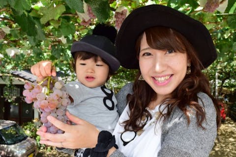 人気のマスカットベリーA又はフレッシュな甲州ぶどうを、畑で45分間の食べ放題コース  〇今年は11月30日(土)まで延長しました。