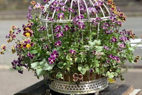 初めてのギャザリング・ナチュラルスタイル