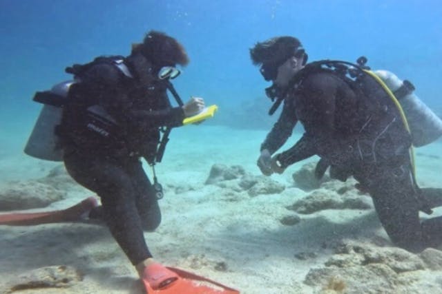 【沖縄・１名様～・送迎付き】初心者向けダイビングライセンス講習☆最短1.5日オープンウォーターコース