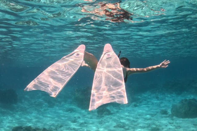 アソビュー特別価格！【那覇発・半日】初心者向けスキンダイビング★那覇市内送迎OK★お1人様も大歓迎！快適ボートで慶良間諸島へ★安心のレクチャー付き！