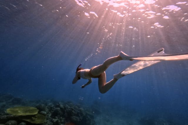 アソビュー特別料金！【沖縄・半日・送迎可】初心者向けスキンダイビング★お1人様も大歓迎★穴場ビーチの天然水族館！安心のレクチャー付き！