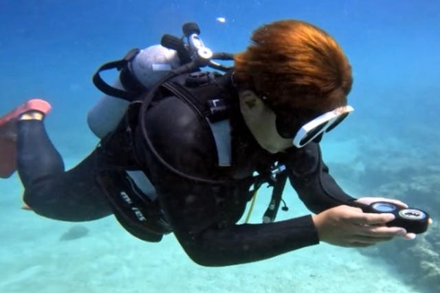 【沖縄・１名様～・送迎付き】☆ステップアップ☆ダイビングライセンス講習☆最短２日アドバンスドオープンウォーターコース