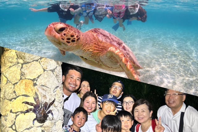 宮古島《生き物好き必見！》宮古島の生き物大観察！【ウミガメシュノーケル&ナイトツアー】★当日予約OK！★撮影データ無料