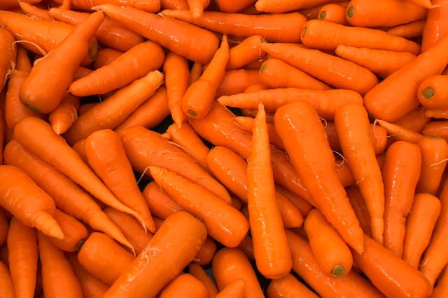 人参収穫作業体験