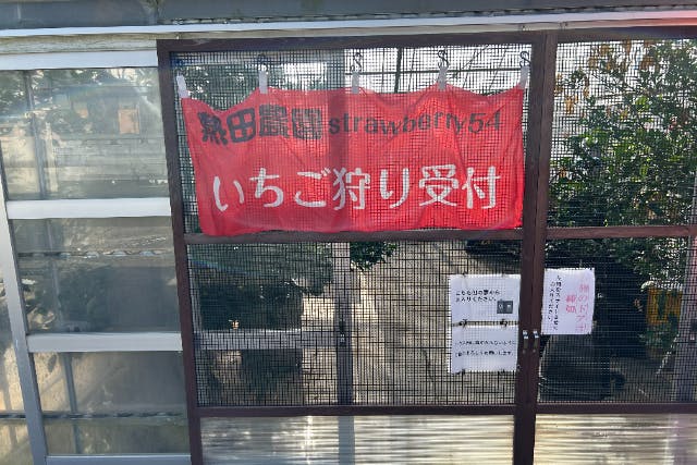 【成田・いちご狩り】30分食べ放題♪自慢の2品種食べ比べ！《成田空港から車で約10分》練乳おかわり無料♪～ファミリー、カップル、お友達同士におすすめ～