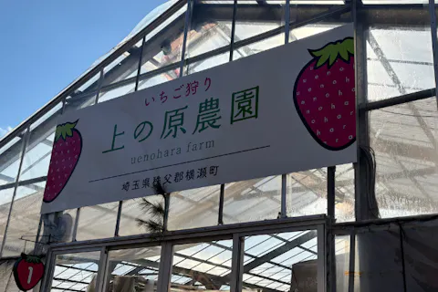 埼玉県・秩父郡横瀬町・いちご狩り】秩父.横瀬.駅近.送迎車あり！甘い3