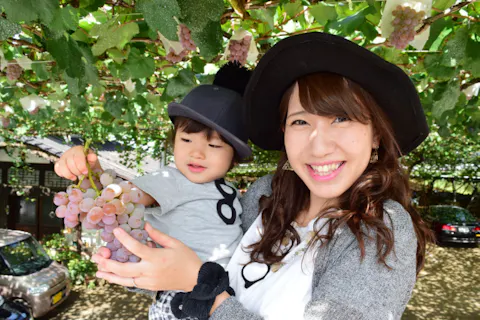 癖のない飽きの来ない味が人気です！「甲州ぶどう」を畑で満腹食べ放題コース 〇今年は11月30日(土)まで延長しました