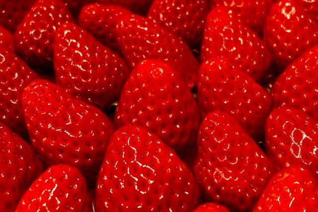 【鎌ケ谷・いちご狩り】平日60分食べ放題！！