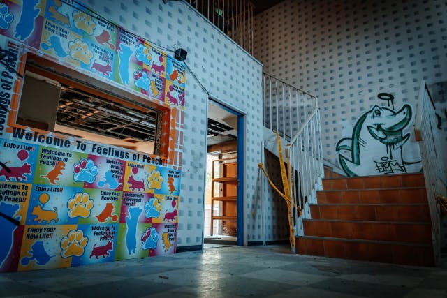 【本物の廃墟スタジオ】コスプレ＆ポートレート向け平日シェア撮影プラン