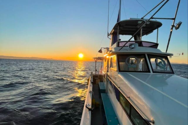 1日1組限定【富士・田子の浦港】日の出と富士山を堪能する完全プライベートクルーズ1時間＋1ドリンク付き◆サンライズコース《グループ・ファミリーにおすすめ》